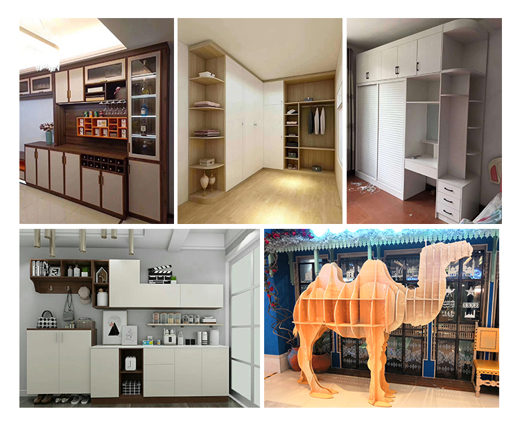 CX-X2详情页-样品图